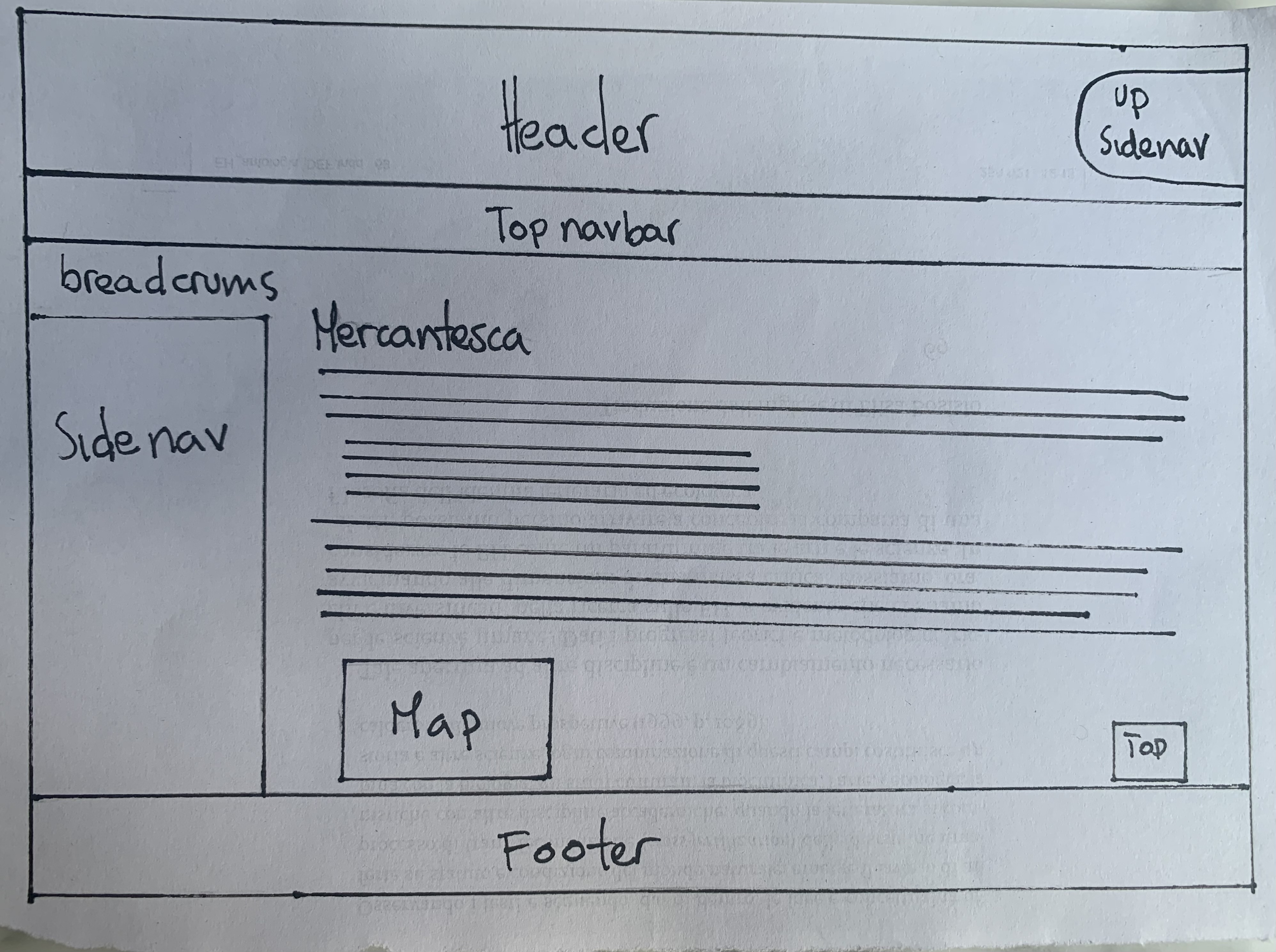 wireframemercantesca